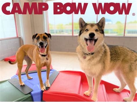 camp bow wow burnsville|camp bow wow eden prairie.